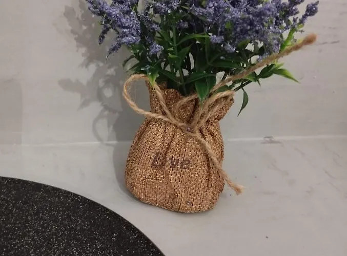 Vlychada's Diamond * 维查德