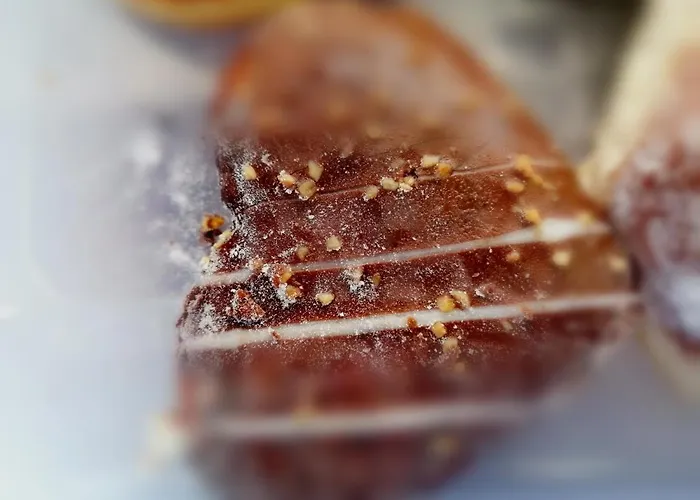 Vlychada's Diamond Appartement Vlychada