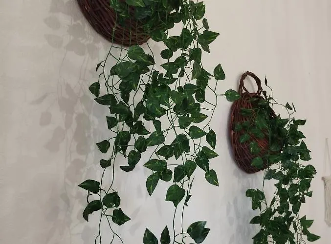 Daire Vlychada's Diamond *